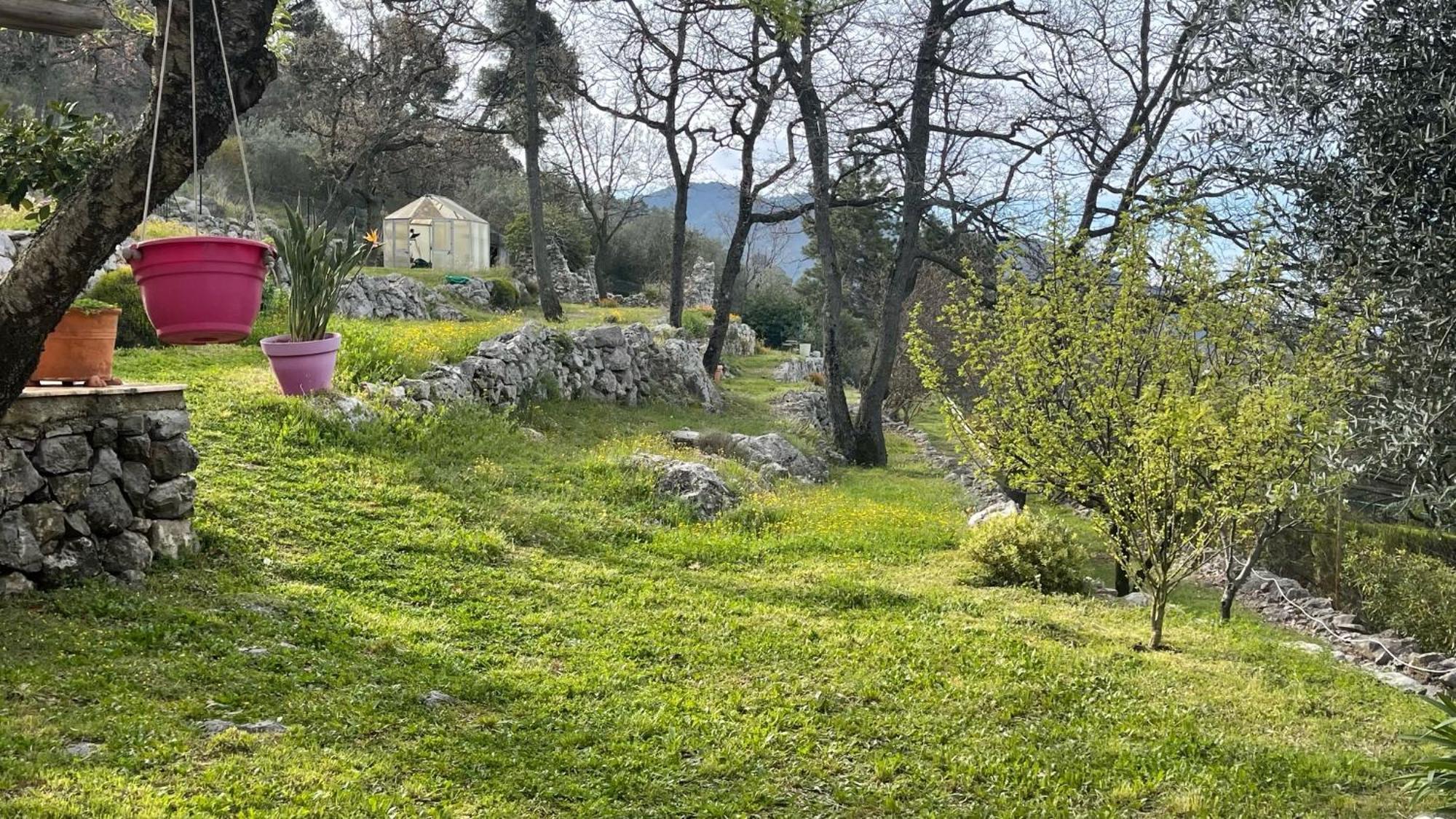 Rez De Jardin, Entre Mer Et Montagne Levens Exterior foto
